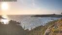 ./images/calvert/foggy-cove/20260519/foggy-cove20260519_201501M.jpg