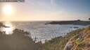 ./images/calvert/foggy-cove/20260519/foggy-cove20260519_202001M.jpg