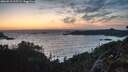 ./images/calvert/foggy-cove/20260519/foggy-cove20260519_215501M.jpg