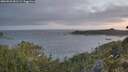 ./images/calvert/foggy-cove/20260520/foggy-cove20260520_051501M.jpg