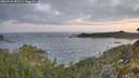 ./images/calvert/foggy-cove/20260520/foggy-cove20260520_052501M.jpg