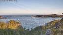 ./images/calvert/foggy-cove/20260520/foggy-cove20260520_064501M.jpg