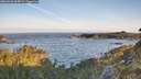 ./images/calvert/foggy-cove/20260520/foggy-cove20260520_065001M.jpg