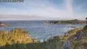./images/calvert/foggy-cove/20260520/foggy-cove20260520_073001M.jpg
