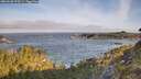 ./images/calvert/foggy-cove/20260520/foggy-cove20260520_073501M.jpg