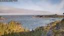 ./images/calvert/foggy-cove/20260520/foggy-cove20260520_074001M.jpg