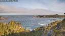 ./images/calvert/foggy-cove/20260520/foggy-cove20260520_074501M.jpg