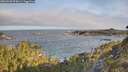 ./images/calvert/foggy-cove/20260520/foggy-cove20260520_075001M.jpg