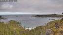 ./images/calvert/foggy-cove/20260520/foggy-cove20260520_080001M.jpg