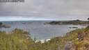 ./images/calvert/foggy-cove/20260520/foggy-cove20260520_080501M.jpg