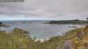 ./images/calvert/foggy-cove/20260520/foggy-cove20260520_081001M.jpg