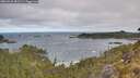 ./images/calvert/foggy-cove/20260520/foggy-cove20260520_081501M.jpg