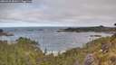 ./images/calvert/foggy-cove/20260520/foggy-cove20260520_082001M.jpg