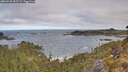 ./images/calvert/foggy-cove/20260520/foggy-cove20260520_082501M.jpg