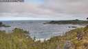 ./images/calvert/foggy-cove/20260520/foggy-cove20260520_083001M.jpg