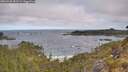 ./images/calvert/foggy-cove/20260520/foggy-cove20260520_083501M.jpg