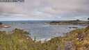 ./images/calvert/foggy-cove/20260520/foggy-cove20260520_084501M.jpg