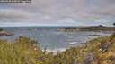 ./images/calvert/foggy-cove/20260520/foggy-cove20260520_085001M.jpg