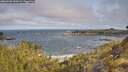 ./images/calvert/foggy-cove/20260520/foggy-cove20260520_090001M.jpg