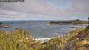 ./images/calvert/foggy-cove/20260520/foggy-cove20260520_090501M.jpg