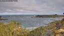 ./images/calvert/foggy-cove/20260520/foggy-cove20260520_091501M.jpg
