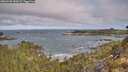 ./images/calvert/foggy-cove/20260520/foggy-cove20260520_092002M.jpg