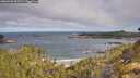 ./images/calvert/foggy-cove/20260520/foggy-cove20260520_092501M.jpg