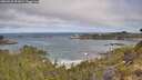 ./images/calvert/foggy-cove/20260520/foggy-cove20260520_093001M.jpg
