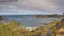 ./images/calvert/foggy-cove/20260520/foggy-cove20260520_093501M.jpg