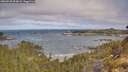 ./images/calvert/foggy-cove/20260520/foggy-cove20260520_094001M.jpg