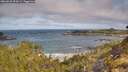 ./images/calvert/foggy-cove/20260520/foggy-cove20260520_094501M.jpg