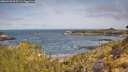 ./images/calvert/foggy-cove/20260520/foggy-cove20260520_095501M.jpg