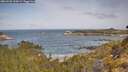./images/calvert/foggy-cove/20260520/foggy-cove20260520_100002M.jpg