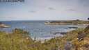 ./images/calvert/foggy-cove/20260520/foggy-cove20260520_100501M.jpg