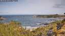 ./images/calvert/foggy-cove/20260520/foggy-cove20260520_101001M.jpg