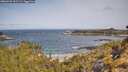 ./images/calvert/foggy-cove/20260520/foggy-cove20260520_101501M.jpg
