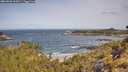 ./images/calvert/foggy-cove/20260520/foggy-cove20260520_102001M.jpg
