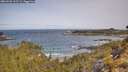 ./images/calvert/foggy-cove/20260520/foggy-cove20260520_102501M.jpg