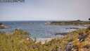 ./images/calvert/foggy-cove/20260520/foggy-cove20260520_103001M.jpg