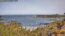 ./images/calvert/foggy-cove/20260520/foggy-cove20260520_103501M.jpg