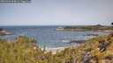 ./images/calvert/foggy-cove/20260520/foggy-cove20260520_104001M.jpg