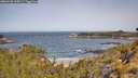 ./images/calvert/foggy-cove/20260520/foggy-cove20260520_104502M.jpg