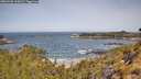 ./images/calvert/foggy-cove/20260520/foggy-cove20260520_105001M.jpg