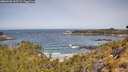 ./images/calvert/foggy-cove/20260520/foggy-cove20260520_105502M.jpg