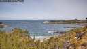 ./images/calvert/foggy-cove/20260520/foggy-cove20260520_110001M.jpg