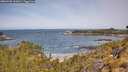./images/calvert/foggy-cove/20260520/foggy-cove20260520_111001M.jpg