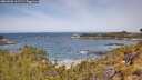 ./images/calvert/foggy-cove/20260520/foggy-cove20260520_111501M.jpg