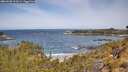 ./images/calvert/foggy-cove/20260520/foggy-cove20260520_112002M.jpg
