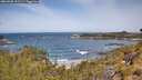 ./images/calvert/foggy-cove/20260520/foggy-cove20260520_112501M.jpg