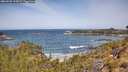 ./images/calvert/foggy-cove/20260520/foggy-cove20260520_113001M.jpg